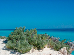 Reserva Ecológica Cayo Largo - La Isla de la Juventud