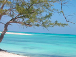 Reserva Ecológica Cayo Largo - La Isla de la Juventud