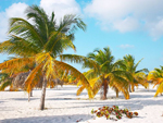 Reserva Ecológica Cayo Largo - La Isla de la Juventud