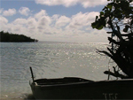 Parque Nacional Ciénaga de Lanier - La Isla de la Juventud
