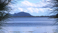 La Isla de la Juventud
