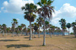 Playa Bibijagua