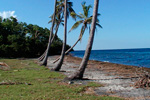 Playa Bibijagua