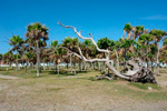 Playa Bibijagua