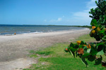 Playa Bibijagua