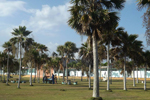 Playa Bibijagua