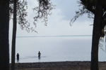 Playa Bibijagua