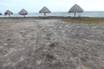 Playa Bibijagua