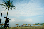 Playa Bibijagua