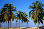 Playa Bibijagua