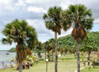 Santa Fe - La Isla de la Juventud