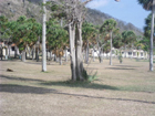 Santa Fe - La Isla de la Juventud