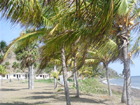 Santa Fe - La Isla de la Juventud