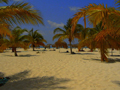 La Isla de la Juventud
