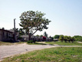 La Isla de la Juventud