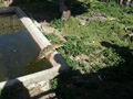 La Isla de la Juventud