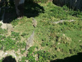La Isla de la Juventud