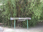 La Isla de la Juventud