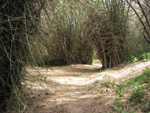 La Isla de la Juventud