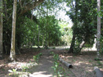 La Isla de la Juventud