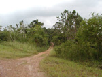 La Isla de la Juventud
