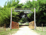 La Isla de la Juventud