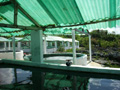 La Isla de la Juventud