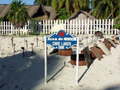 La Isla de la Juventud