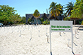 La Isla de la Juventud
