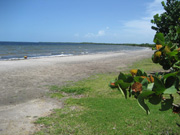 Playa Bibijagua