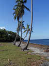 Playa Bibijagua